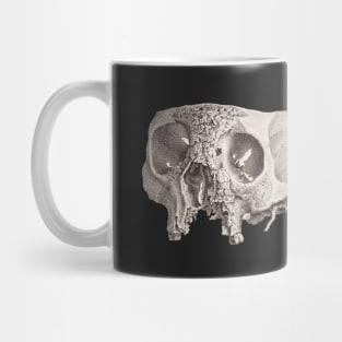 Diseased Skull, Unknown Mug